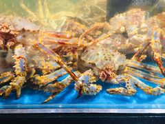 -盒马鲜生(皇庭广场店)