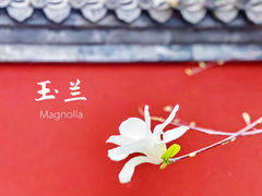 -天坛公园