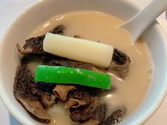 高山羊肚菌-马仕玖煲·融合菜·酥不腻烤鸭(人大店)