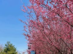 -汉长安城未央宫国家考古遗址公园