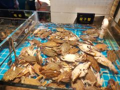 -九月海·海鲜自助(世纪东方店)