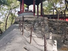 -玉泉院