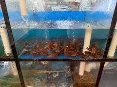-西山人家·传统苏帮菜·家宴(木渎店)
