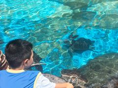 -海合安成都极地海洋公园