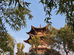 -武汉园博园(武汉自然博物馆)