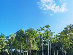 -三亚海棠湾万丽度假酒店