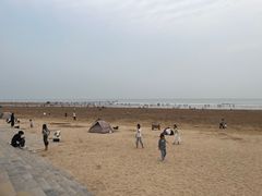 -日照海滨国家森林公园