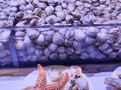 -聚盛源蒸汽海鲜火锅烤肉自助(巨川金海岸购物广场店)