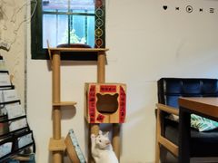 -新月集庭院咖啡馆(老邮局店)
