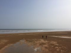 -日照海滨国家森林公园