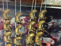 天天烧烤-天天烧烤(顾庄店)