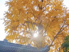 -尚贤河湿地