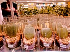 -KKV(深圳宏发大仟里店)