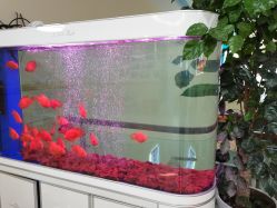 -成都军建医院·疤痕诊疗中心