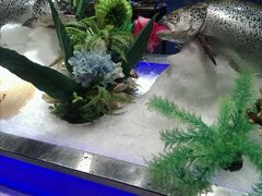 -V-ONE西雅图海鲜自助餐厅(仓山万达广场店)