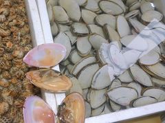 -蚝专家(北滘店)