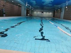 -DBSWIM深呼吸国际游泳培训(保利颂店)