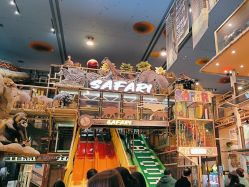 -卡通尼·Safari非洲探索乐园·生日会(金桥国际商业广场店)