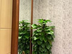 -海都六福酒家(世博广场店)