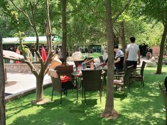 -尚庄度假村·庭台树下·户外烧烤·团建CS·轰趴营地(上庄水库店)