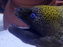 -海合安武汉极地海洋公园