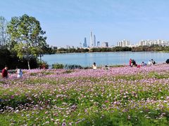 -海珠湖公园