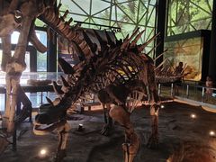 -湖南省地质博物馆