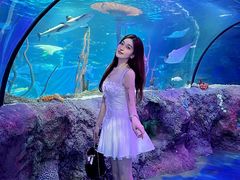 -沈阳海洋探索中心