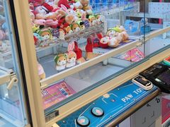 -PAWTOY爪e玩偶店(天兴罗斯福店)