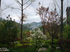 -青峰峡国家森林公园