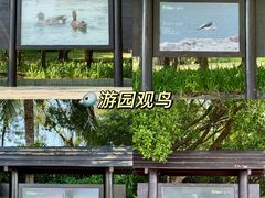 -KK ONE(京基滨河时代店)