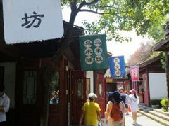 -天目湖山水园