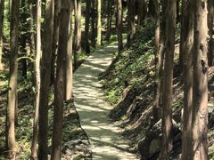 -山王坪喀斯特国家生态公园