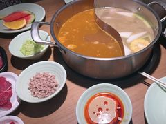-掂档潮汕牛肉火锅(沈阳万象城店)