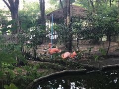 -清迈夜间动物园