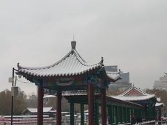 -莲花池公园