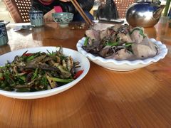 -遇龙河大樟树农家乐