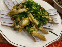 韭菜炒蛏子-天天初二·天津传统捞面·天津特色菜(凌奥总店)