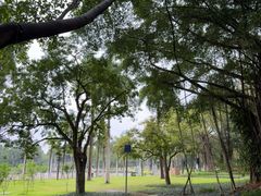 -南宁南湖公园