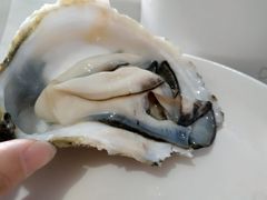 生蚝-青石桥市场北1-27号