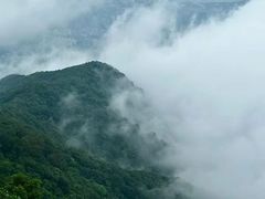 -梧桐山风景名胜区