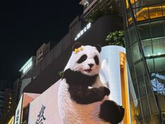 -合景·悠方(成都店)