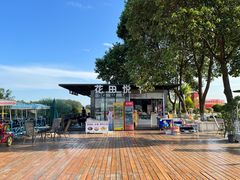 -空港花田景区