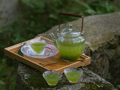 -金鱼妈妈 山野·食趣(荫山街店)
