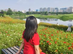 -洋湖国家湿地公园