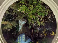 -苏州湾·王焰温泉