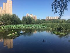 -前关湿地公园