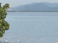 -深圳湾公园(南山区)