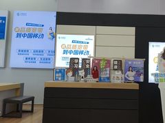 -中国移动(高升桥营业厅)