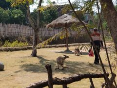 -泉州海丝野生动物世界